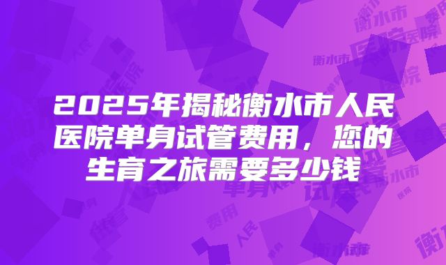 2025年揭秘衡水市人民医院单身试管费用,您的生育之旅需要多少钱