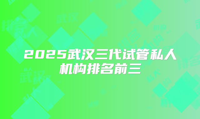 2025武汉三代试管私人机构排名前三