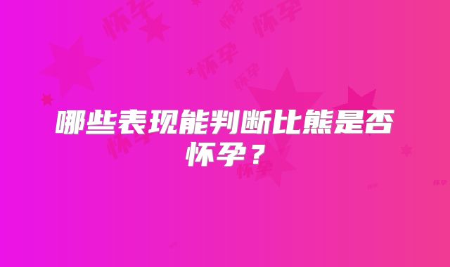 哪些表现能判断比熊是否怀孕？