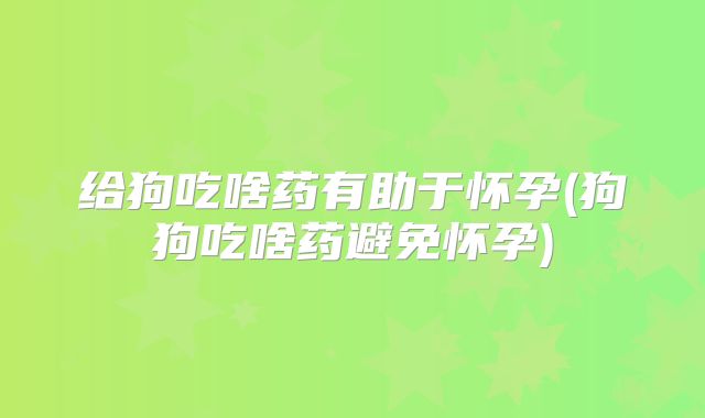 给狗吃啥药有助于怀孕(狗狗吃啥药避免怀孕)