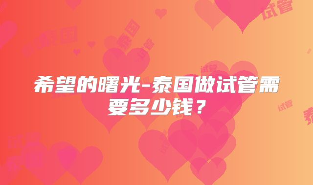 希望的曙光-泰国做试管需要多少钱？