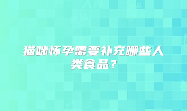 猫咪怀孕需要补充哪些人类食品？