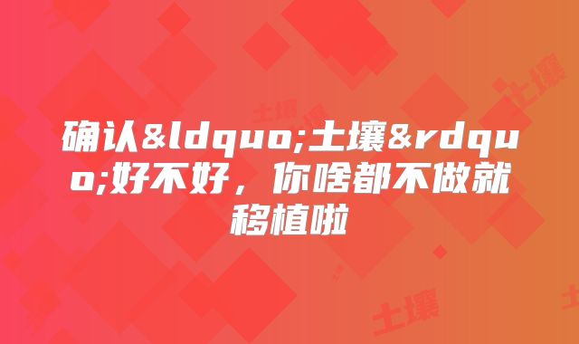 确认&ldquo;土壤&rdquo;好不好，你啥都不做就移植啦