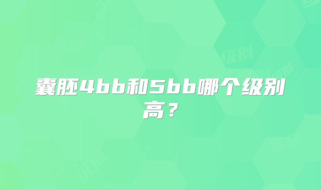 囊胚4bb和5bb哪个级别高？