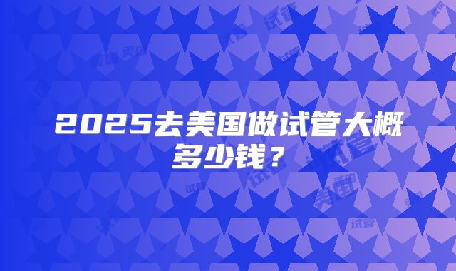 2025去美国做试管大概多少钱?