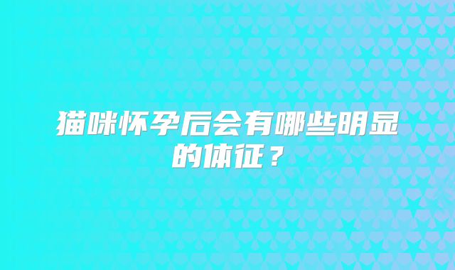 猫咪怀孕后会有哪些明显的体征？