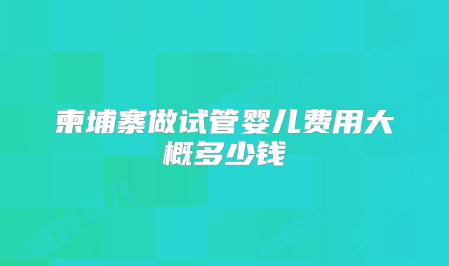 柬埔寨做试管婴儿费用大概多少钱