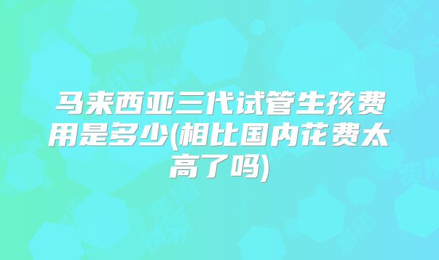 马来西亚三代试管生孩费用是多少(相比国内花费太高了吗)