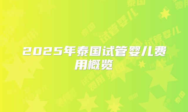 2025年泰国试管婴儿费用概览