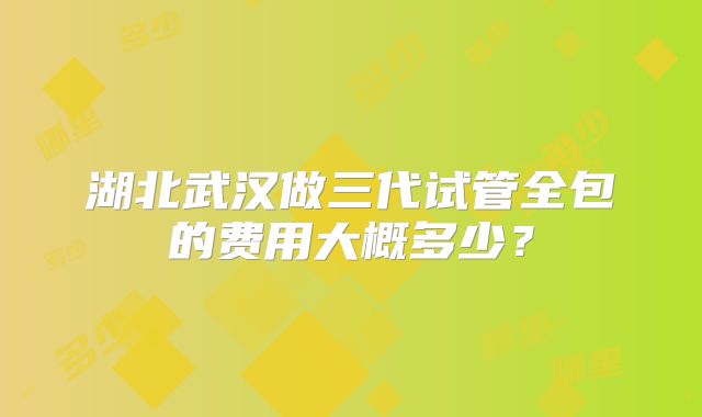 湖北武汉做三代试管全包的费用大概多少？