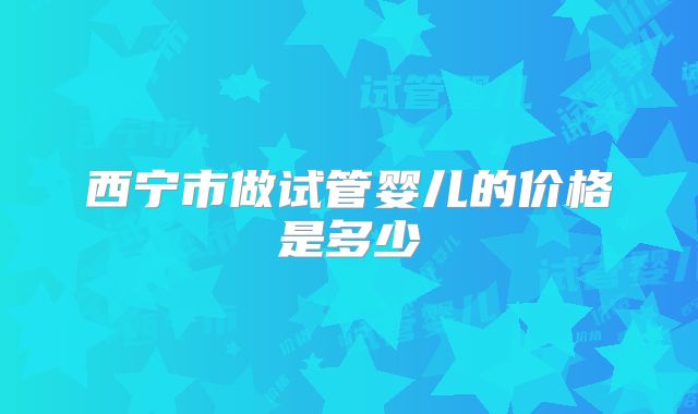 西宁市做试管婴儿的价格是多少
