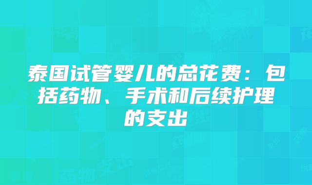 泰国试管婴儿的总花费：包括药物、手术和后续护理的支出