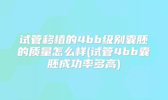 试管移植的4bb级别囊胚的质量怎么样(试管4bb囊胚成功率多高)