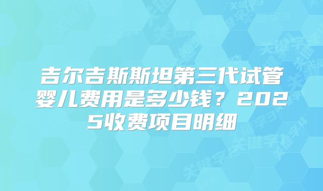 吉尔吉斯斯坦第三代试管婴儿费用是多少钱？2025收费项目明细