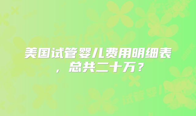 美国试管婴儿费用明细表，总共二十万？