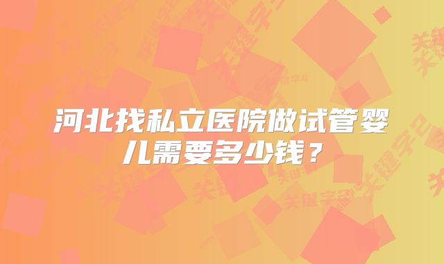 河北找私立医院做试管婴儿需要多少钱？