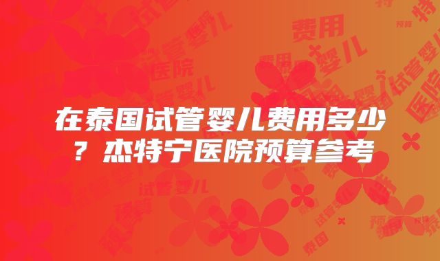在泰国试管婴儿费用多少？杰特宁医院预算参考