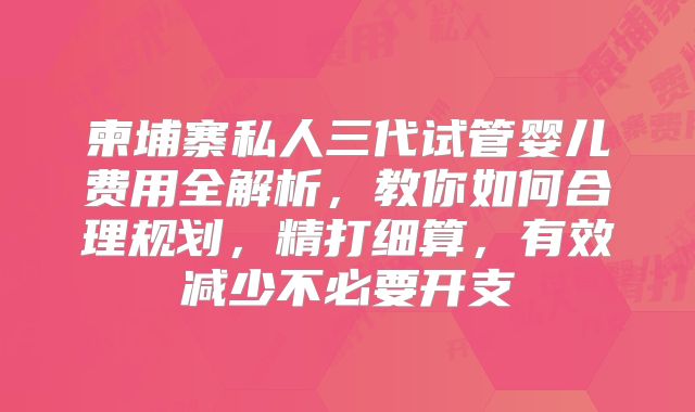柬埔寨私人三代试管婴儿费用全解析，教你如何合理规划，精打细算，有效减少不必要开支