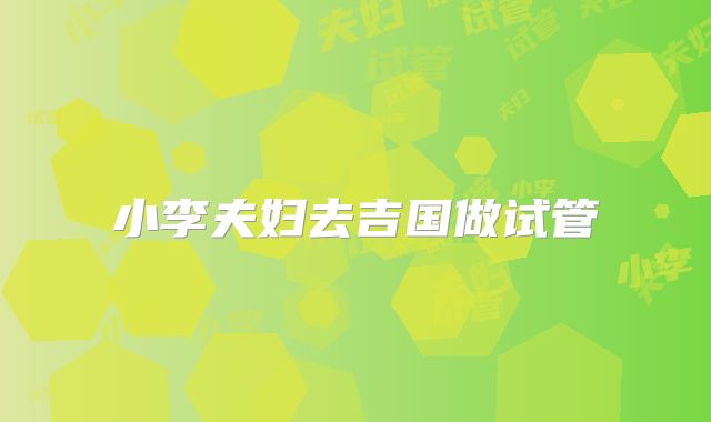 小李夫妇去吉国做试管