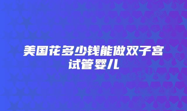 美国花多少钱能做双子宫试管婴儿