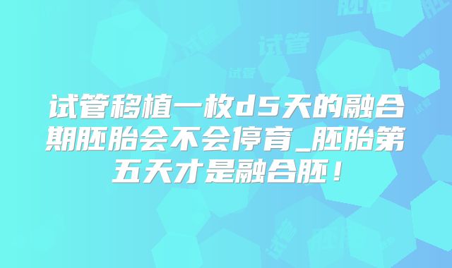 试管移植一枚d5天的融合期胚胎会不会停育_胚胎第五天才是融合胚！