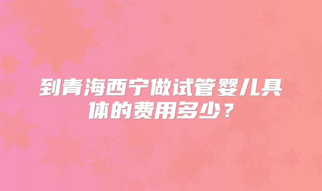 到青海西宁做试管婴儿具体的费用多少？