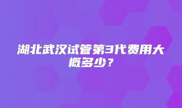 湖北武汉试管第3代费用大概多少?