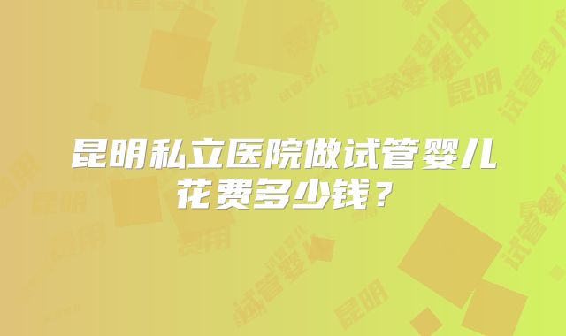 昆明私立医院做试管婴儿花费多少钱？