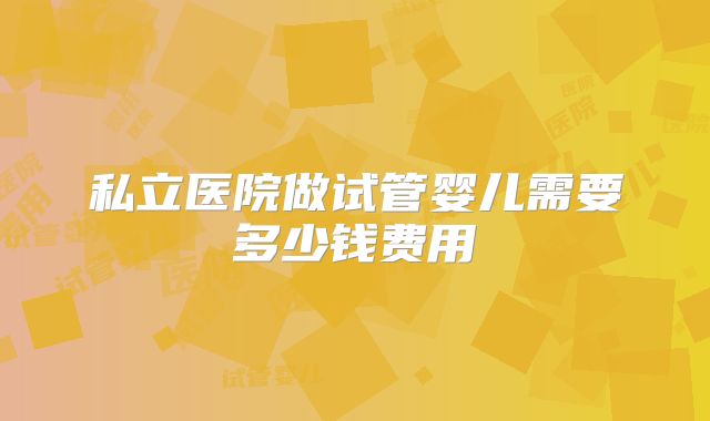 私立医院做试管婴儿需要多少钱费用