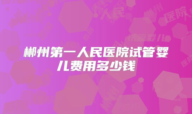 郴州第一人民医院试管婴儿费用多少钱