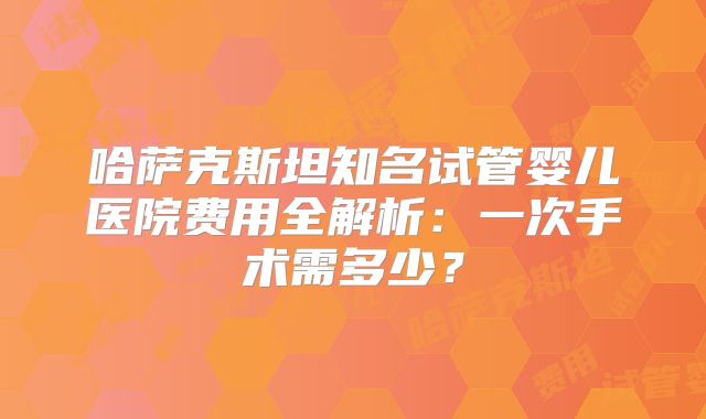 哈萨克斯坦知名试管婴儿医院费用全解析：一次手术需多少？