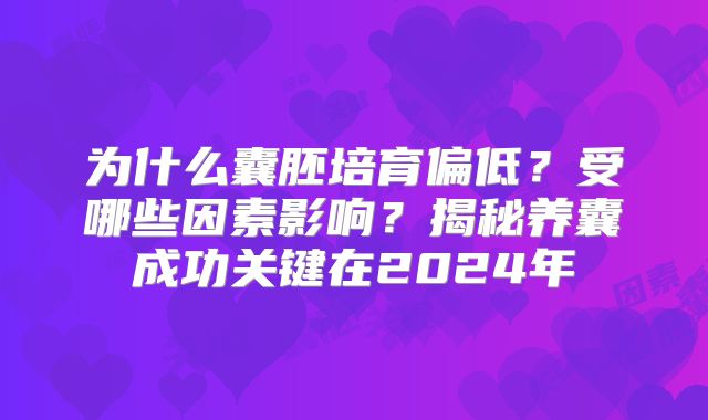 为什么囊胚培育偏低？受哪些因素影响？揭秘养囊成功关键在2024年