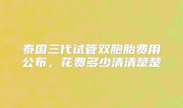 泰国三代试管双胞胎费用公布，花费多少清清楚楚