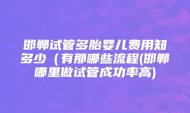 邯郸试管多胎婴儿费用知多少（有那哪些流程(邯郸哪里做试管成功率高)