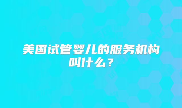 美国试管婴儿的服务机构叫什么？