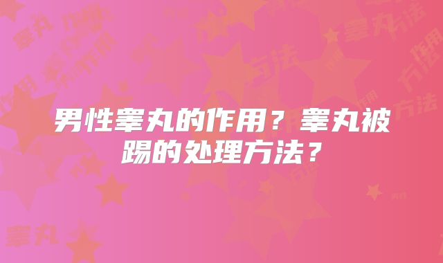 男性睾丸的作用？睾丸被踢的处理方法？