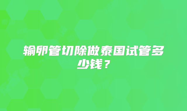 输卵管切除做泰国试管多少钱？