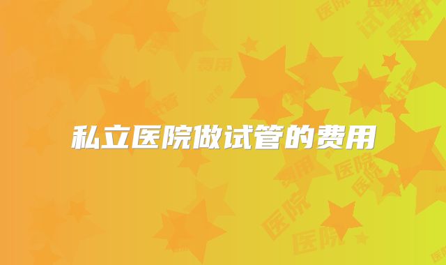 私立医院做试管的费用