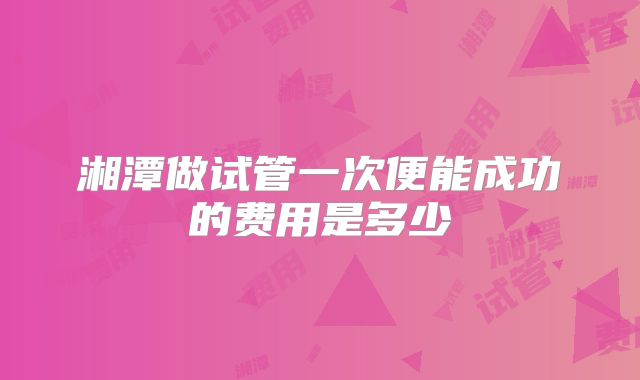 湘潭做试管一次便能成功的费用是多少