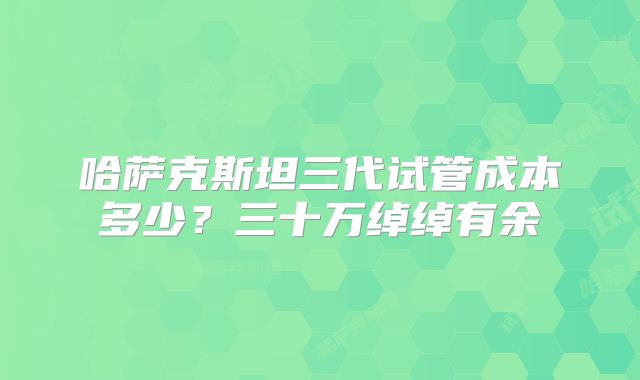 哈萨克斯坦三代试管成本多少？三十万绰绰有余