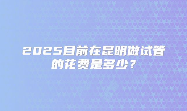 2025目前在昆明做试管的花费是多少？