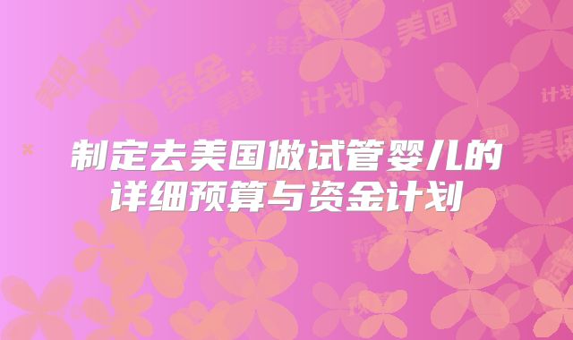 制定去美国做试管婴儿的详细预算与资金计划
