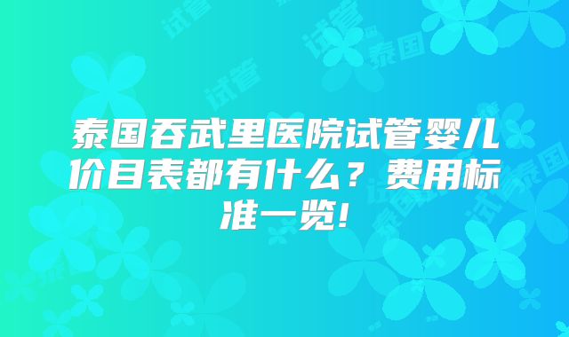 泰国吞武里医院试管婴儿价目表都有什么?费用标准一览!