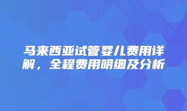 马来西亚试管婴儿费用详解，全程费用明细及分析