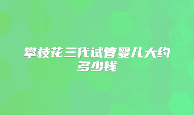 攀枝花三代试管婴儿大约多少钱