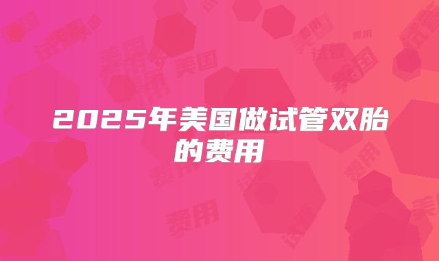 2025年美国做试管双胎的费用