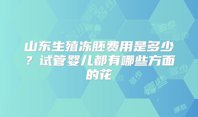 山东生殖冻胚费用是多少？试管婴儿都有哪些方面的花