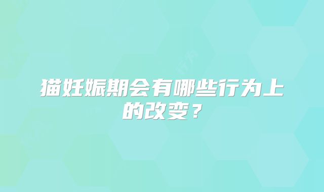 猫妊娠期会有哪些行为上的改变？