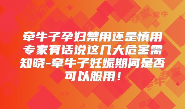 牵牛子孕妇禁用还是慎用专家有话说这几大危害需知晓-牵牛子妊娠期间是否可以服用！