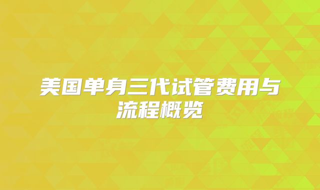 美国单身三代试管费用与流程概览